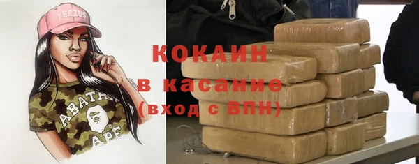 молекула духа Кулебаки