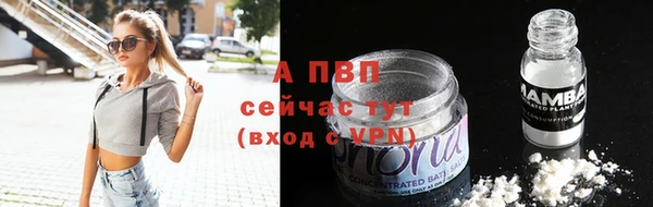 винт Лабытнанги