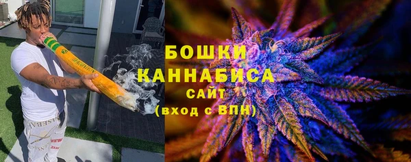 молекула духа Кулебаки