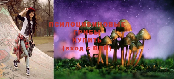 молекула духа Кулебаки