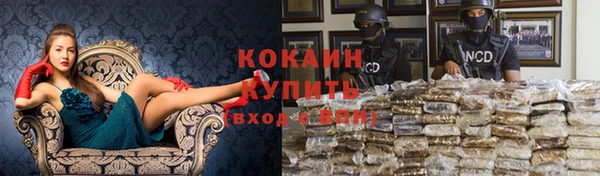 молекула духа Куйбышев