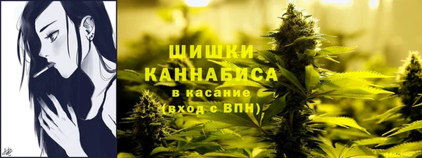 таблы Краснослободск