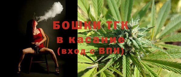 молекула духа Кулебаки