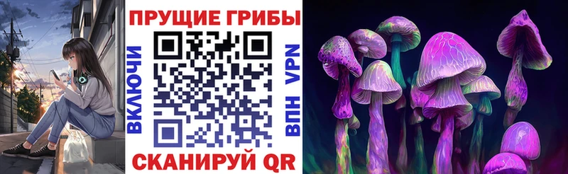 Галлюциногенные грибы Cubensis  купить наркотики цена  Ленинск-Кузнецкий 